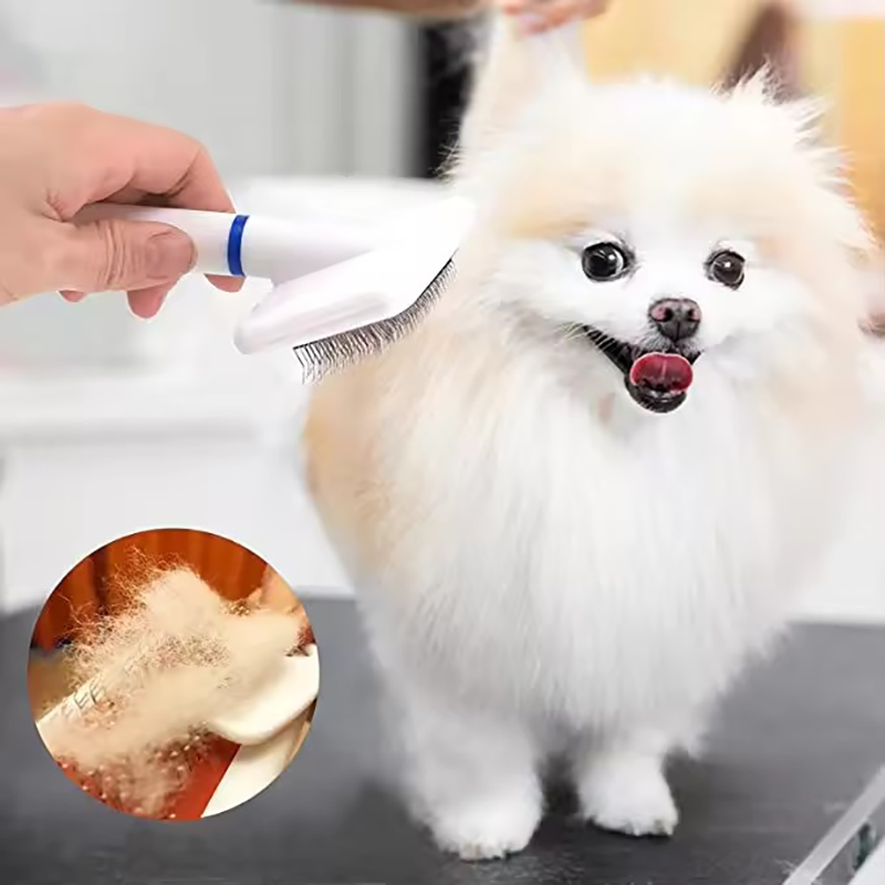 Biała szczotka do pielęgnacji  – Hair Care Tips recenzja i cena